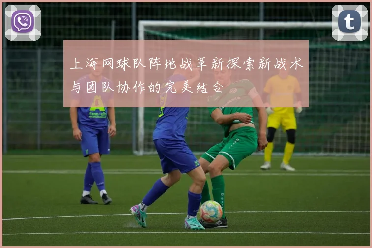 上海网球队阵地战革新探索新战术与团队协作的完美结合