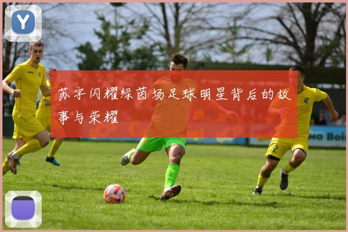 苏字闪耀绿茵场足球明星背后的故事与荣耀
