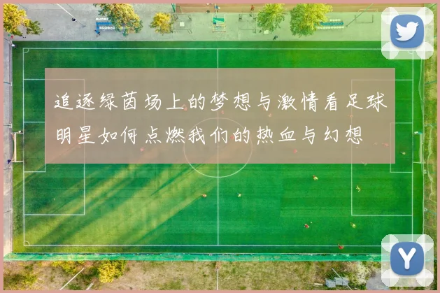 追逐绿茵场上的梦想与激情看足球明星如何点燃我们的热血与幻想