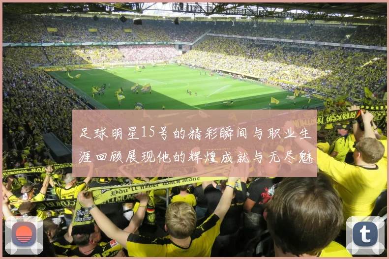 足球明星15号的精彩瞬间与职业生涯回顾展现他的辉煌成就与无尽魅力