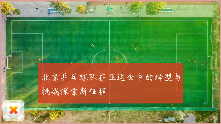 北京乒乓球队在亚运会中的转型与挑战探索新征程