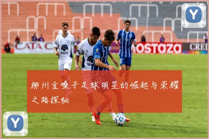 柳州金嗓子足球明星的崛起与荣耀之路探秘