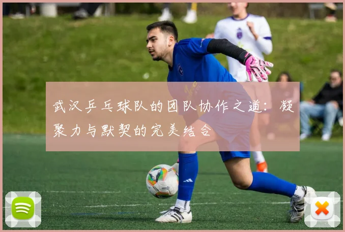 武汉乒乓球队的团队协作之道：凝聚力与默契的完美结合