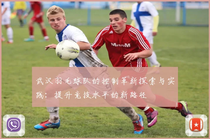 武汉羽毛球队的控制革新探索与实践：提升竞技水平的新路径