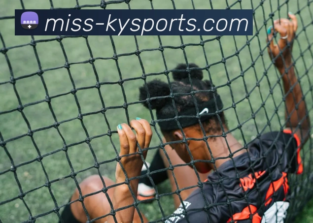 开云平台生态图